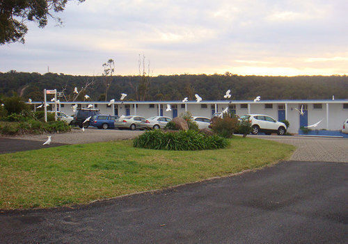 Kingfisher Motel (Adults Only) Merimbula Εξωτερικό φωτογραφία